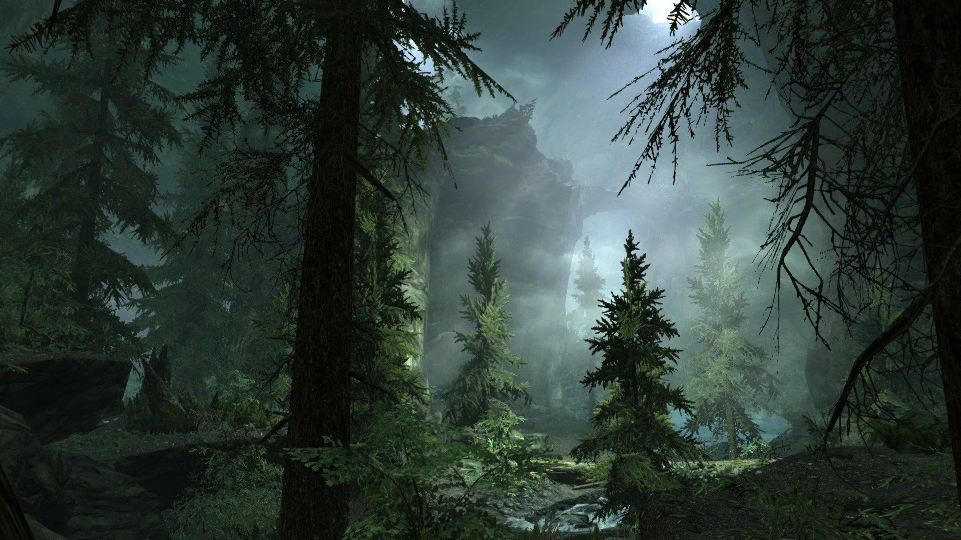 Enchanted Foggy Forest
