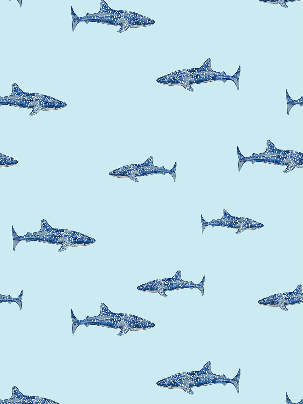 Spotted Shark' Wallpaper