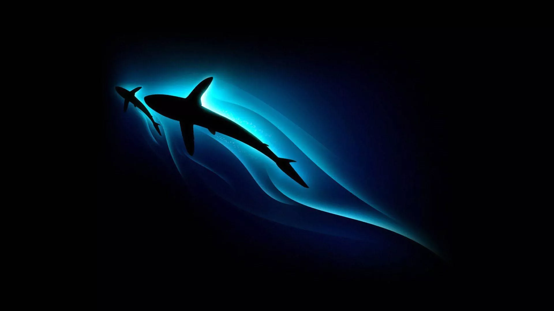 Blue Illuminating Sharks Silhouette