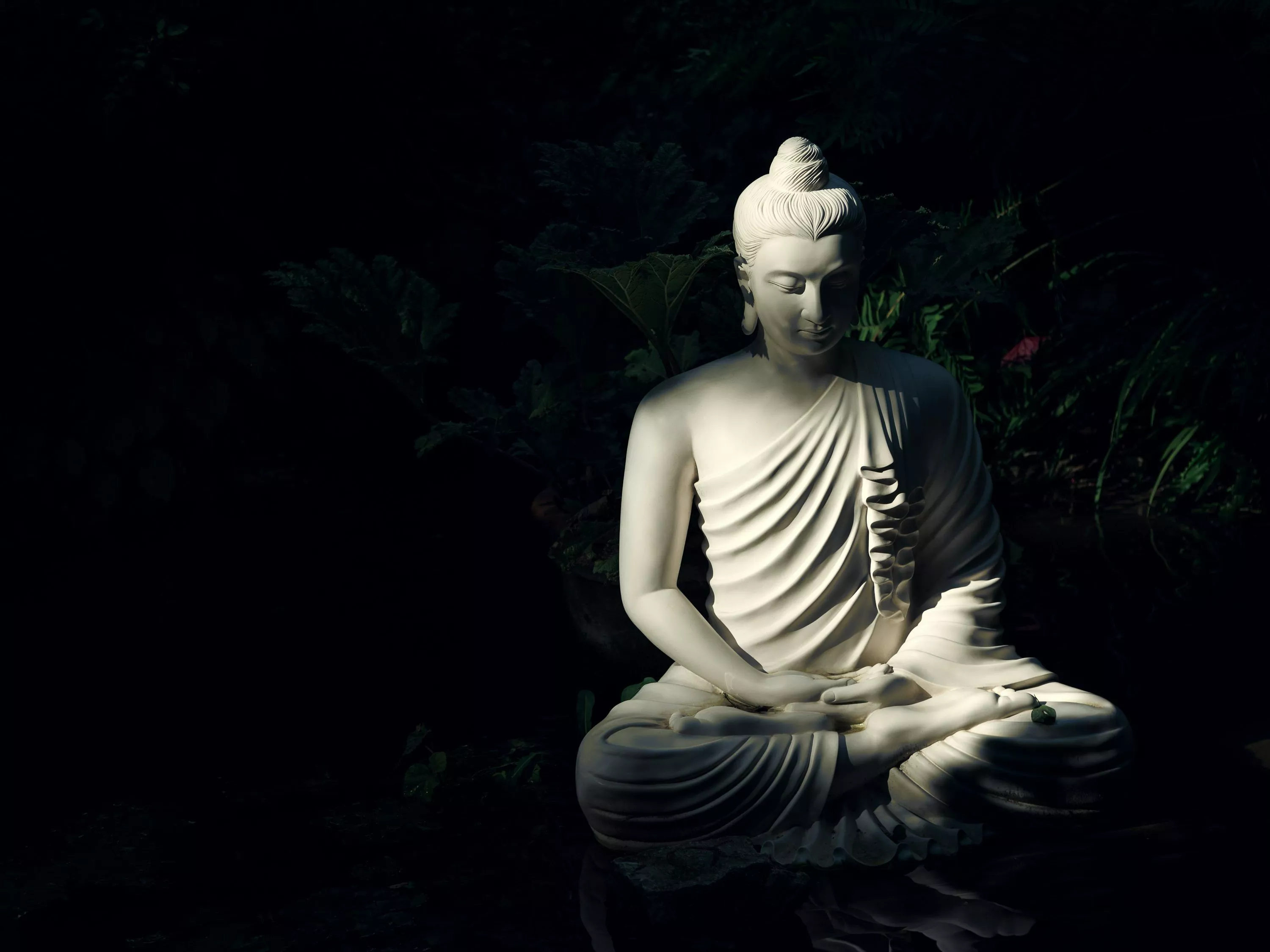Buddha Wallpaper: Free HD Download