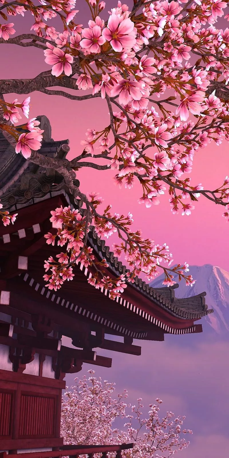HD cherry blossom wallpaper