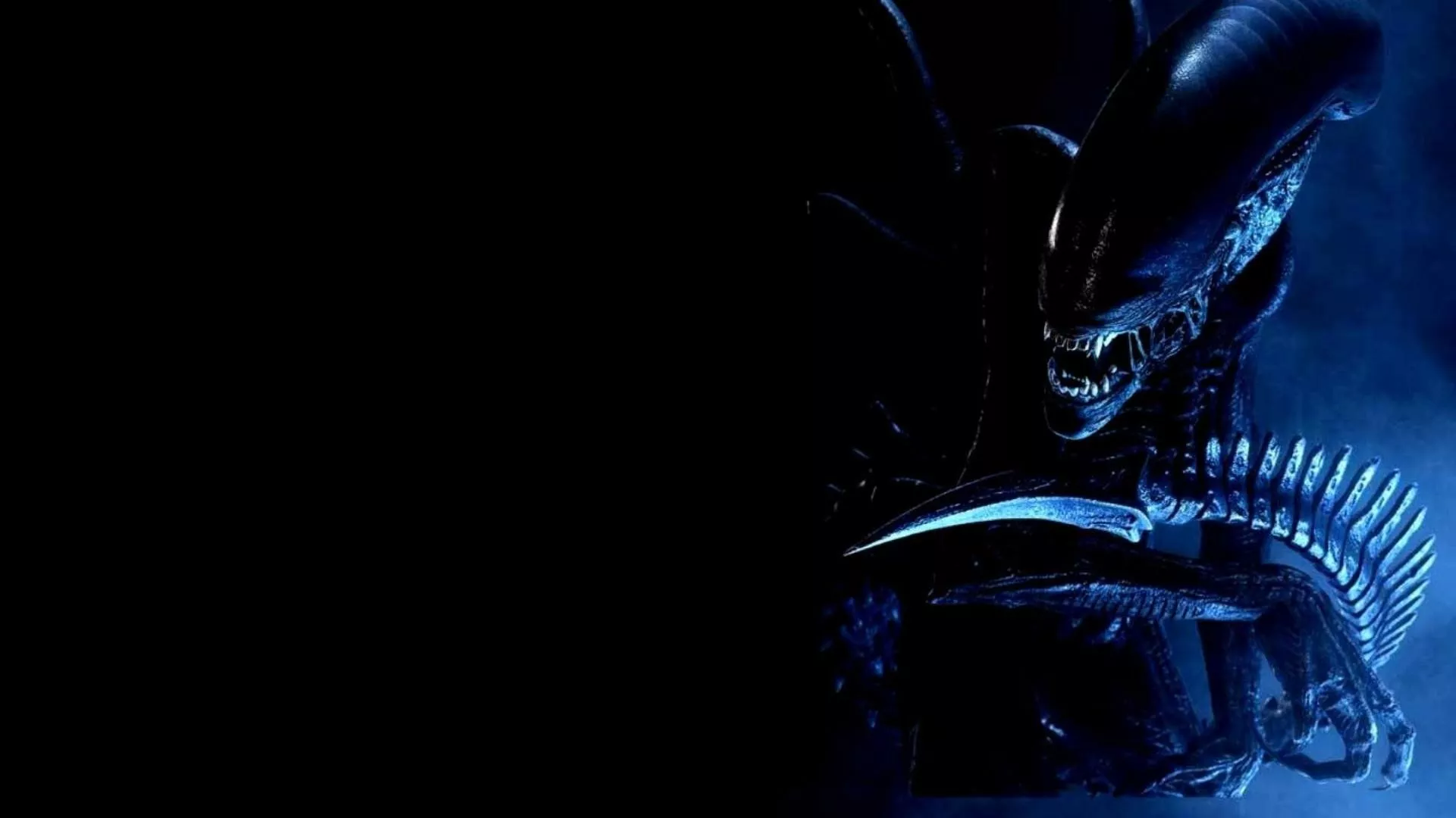 Download Xenomorph Movie Alien HD Wallpaper