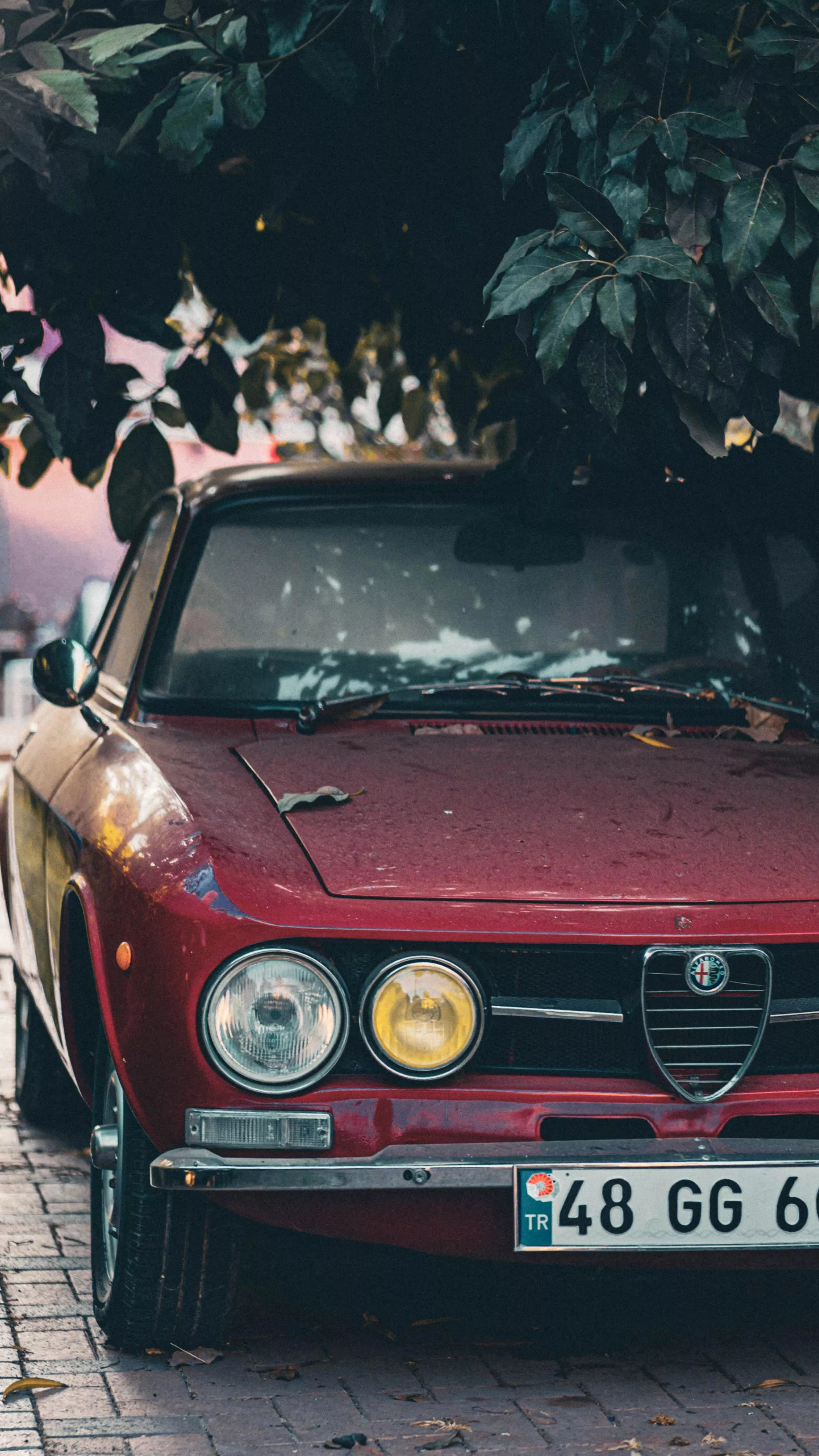 Alfa Romeo Photo, Download The BEST