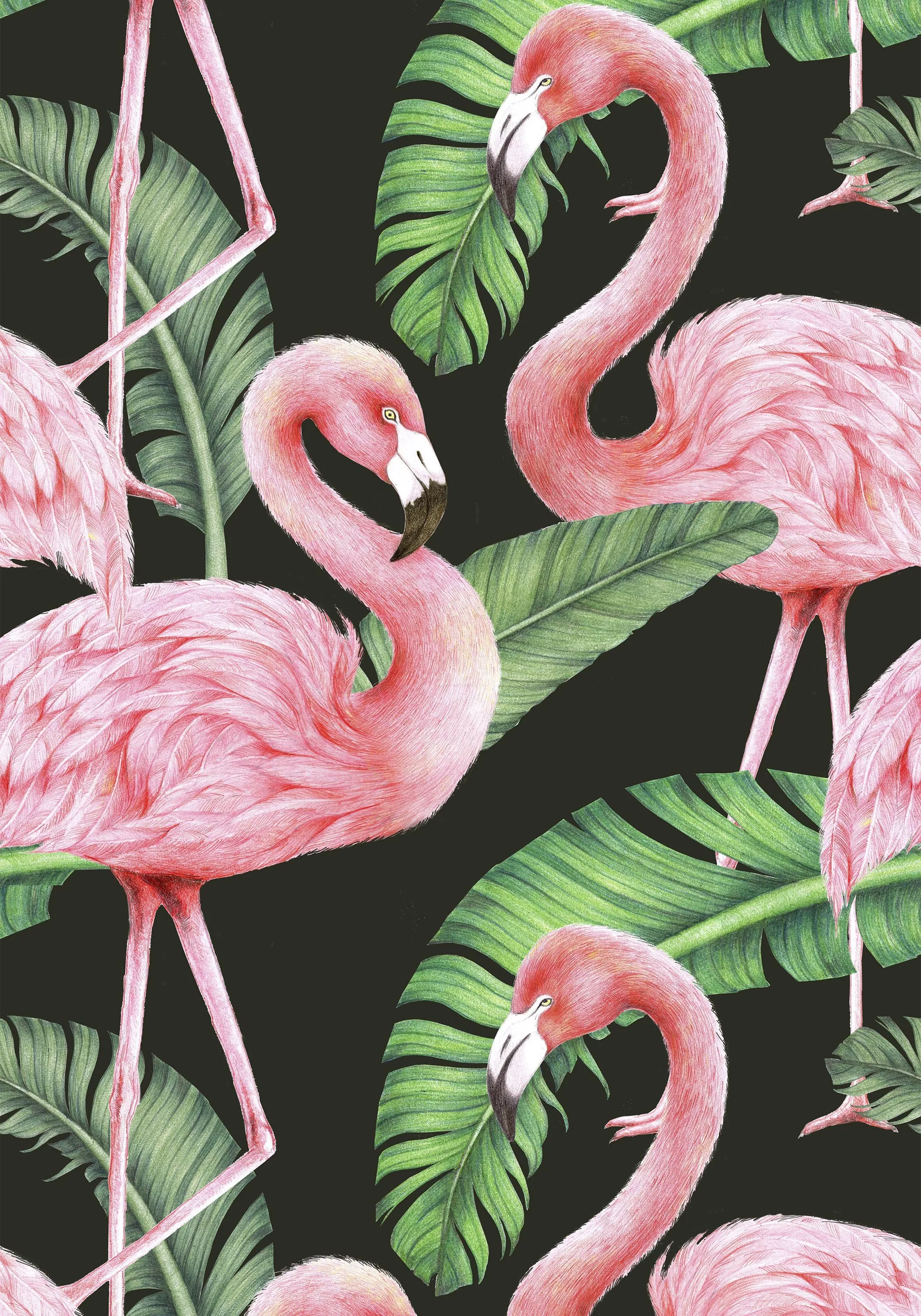 Shop Flamingo Wallpaper. Coastal Home