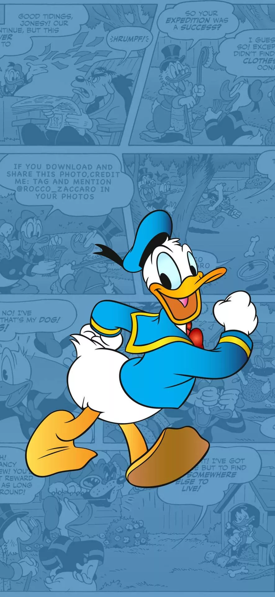 Donald Duck Comic Illustration