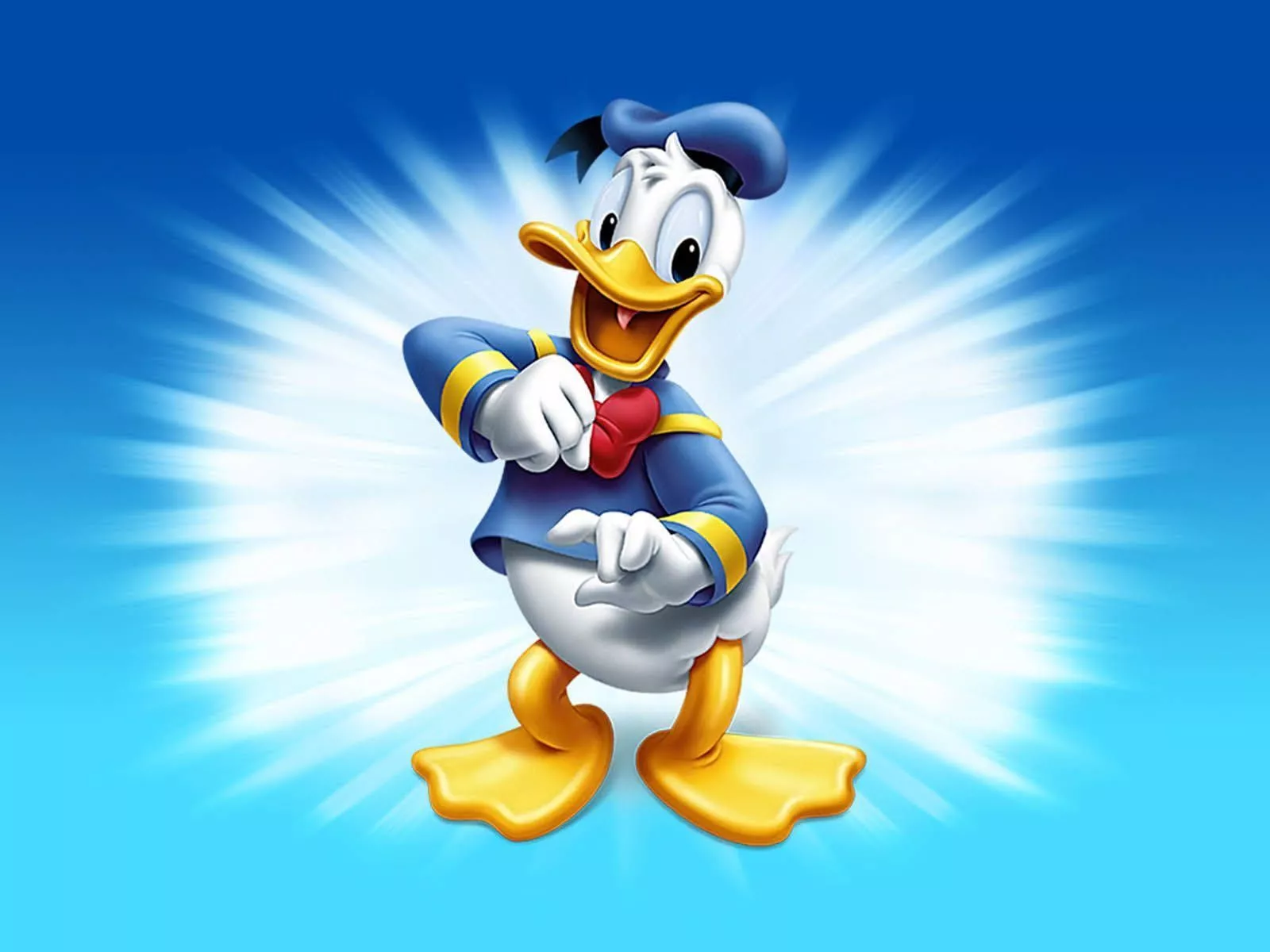Donald Duck Picture