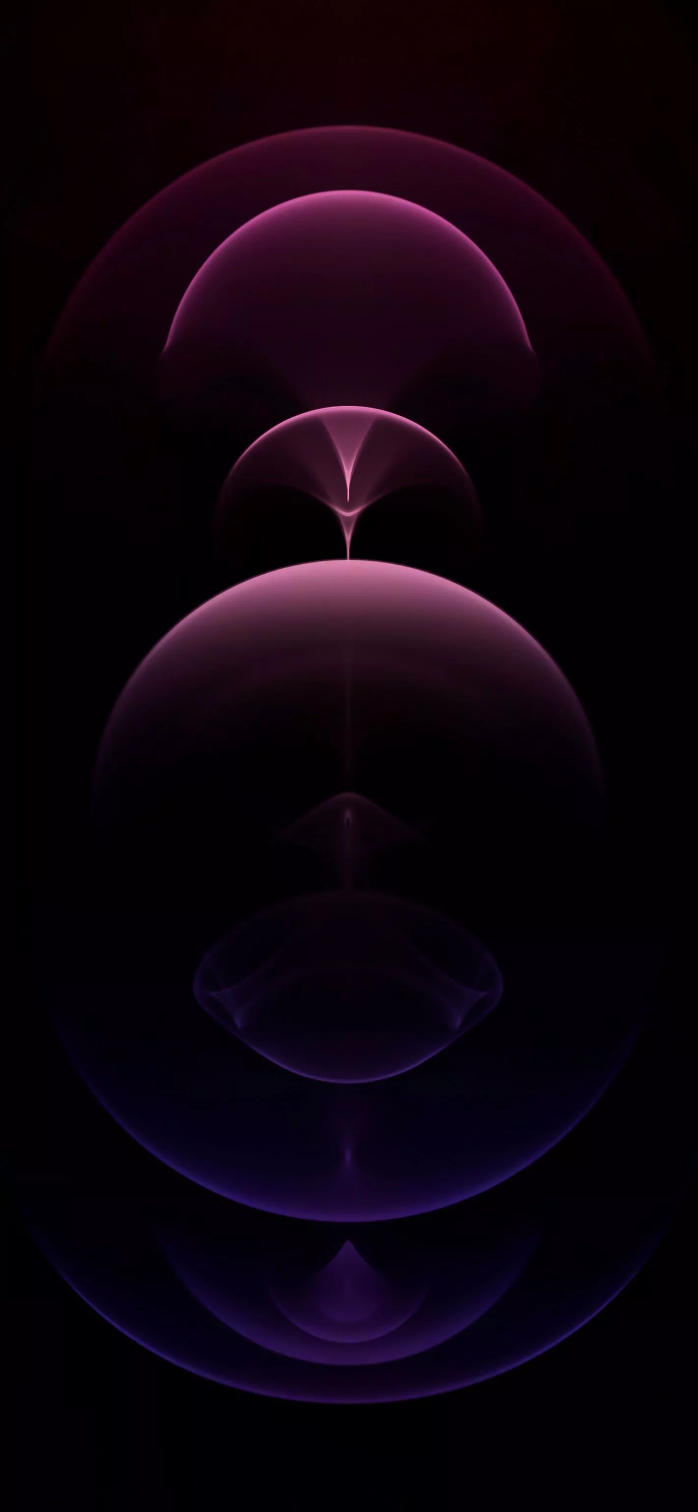 iPhone 12 Pro: Purple MODD