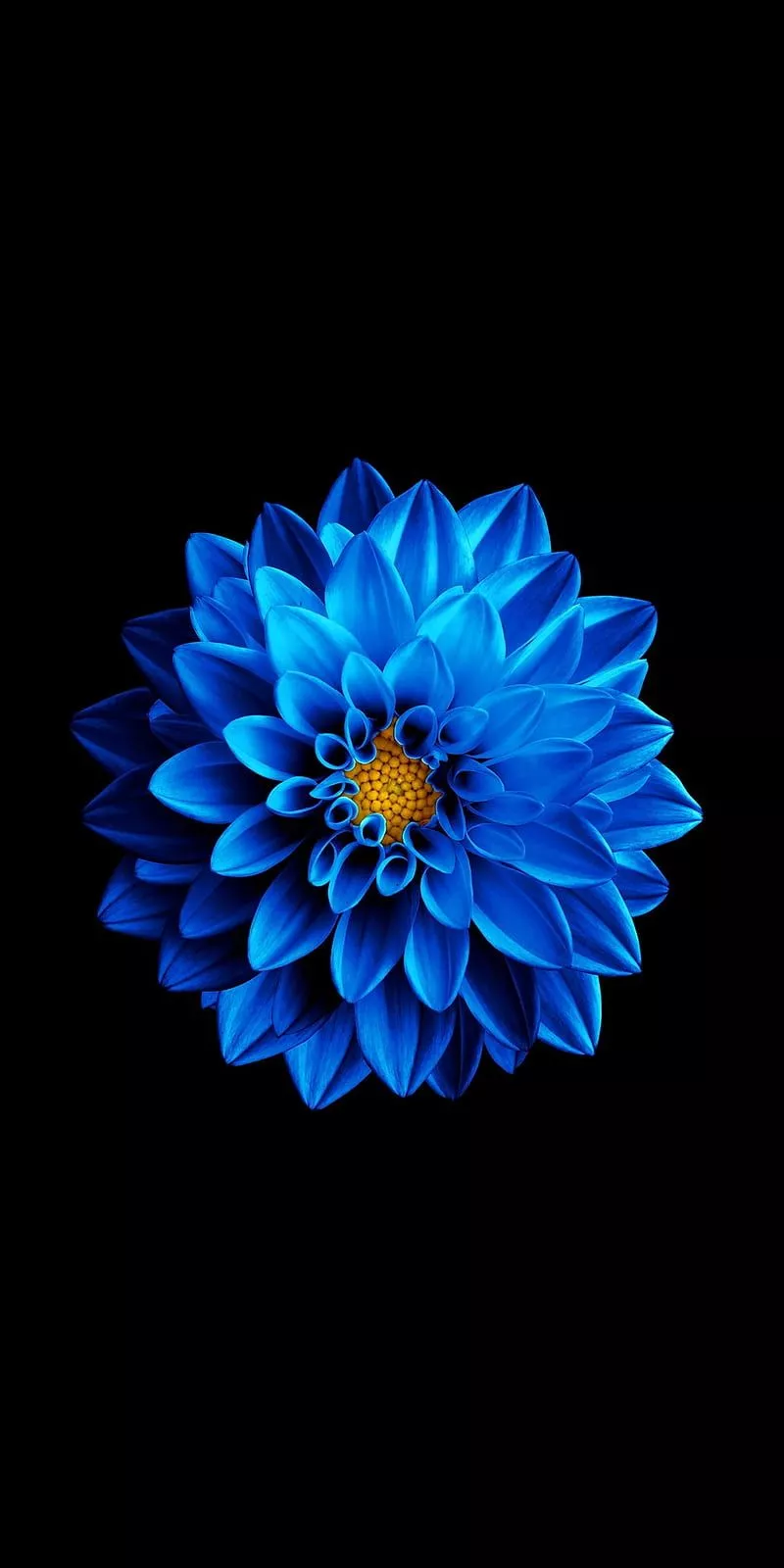 HD super amoled wallpaper