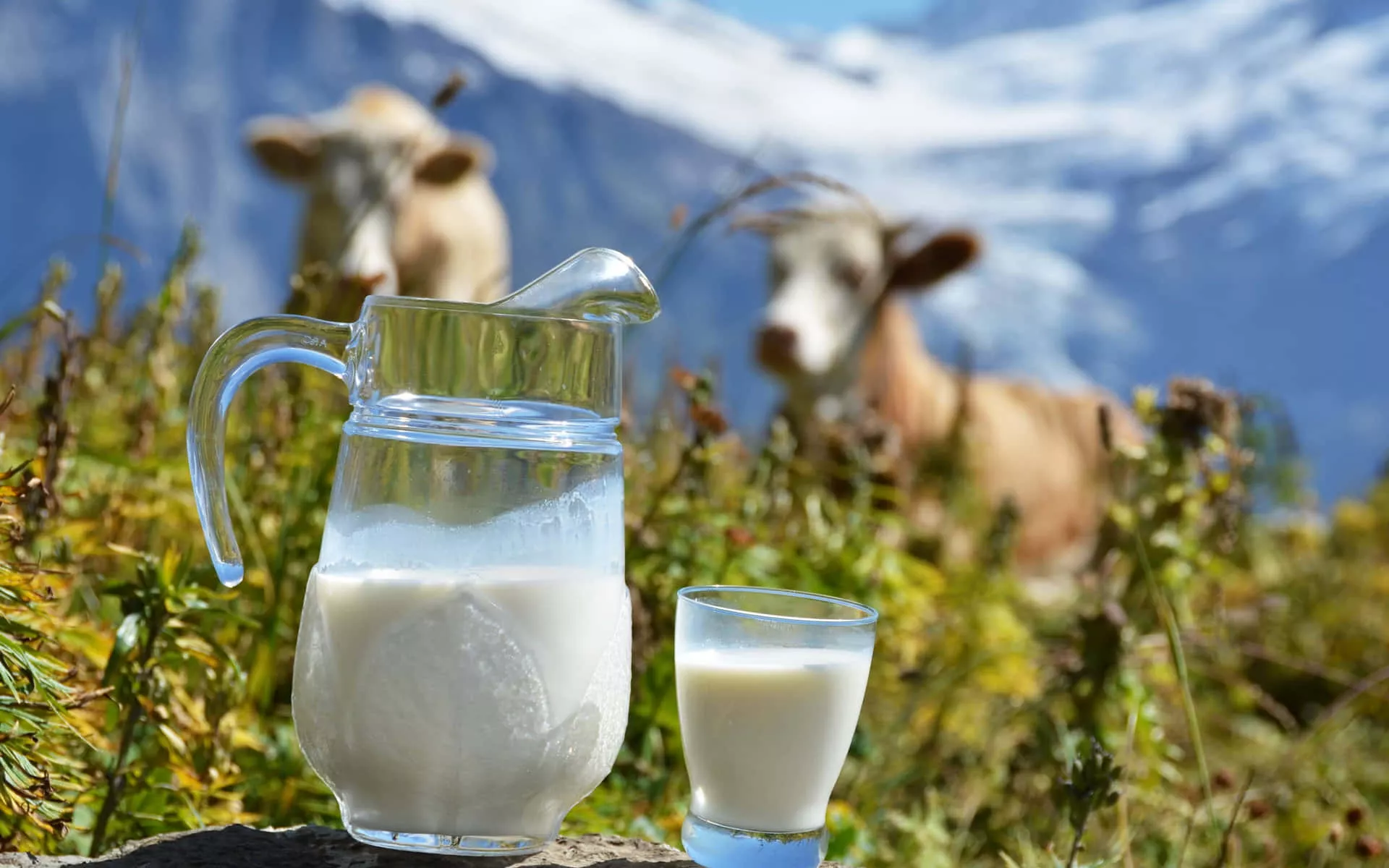 Milk Picture
