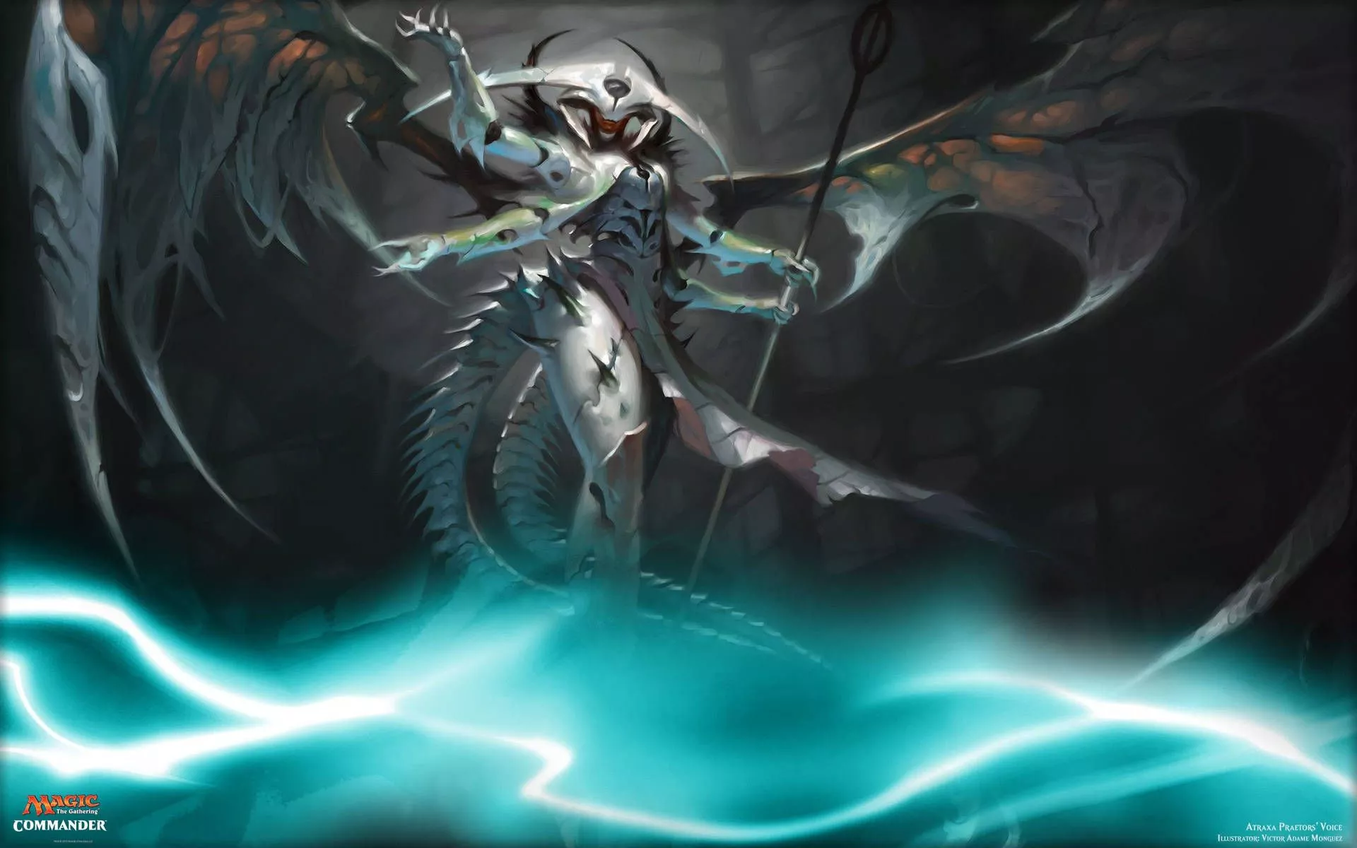 Mtg Picture