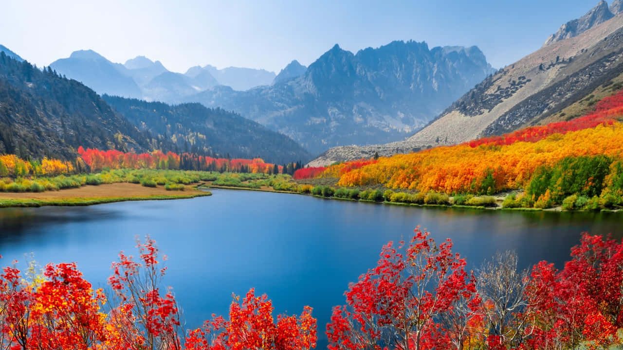 Nature Reserves Wallpaper
