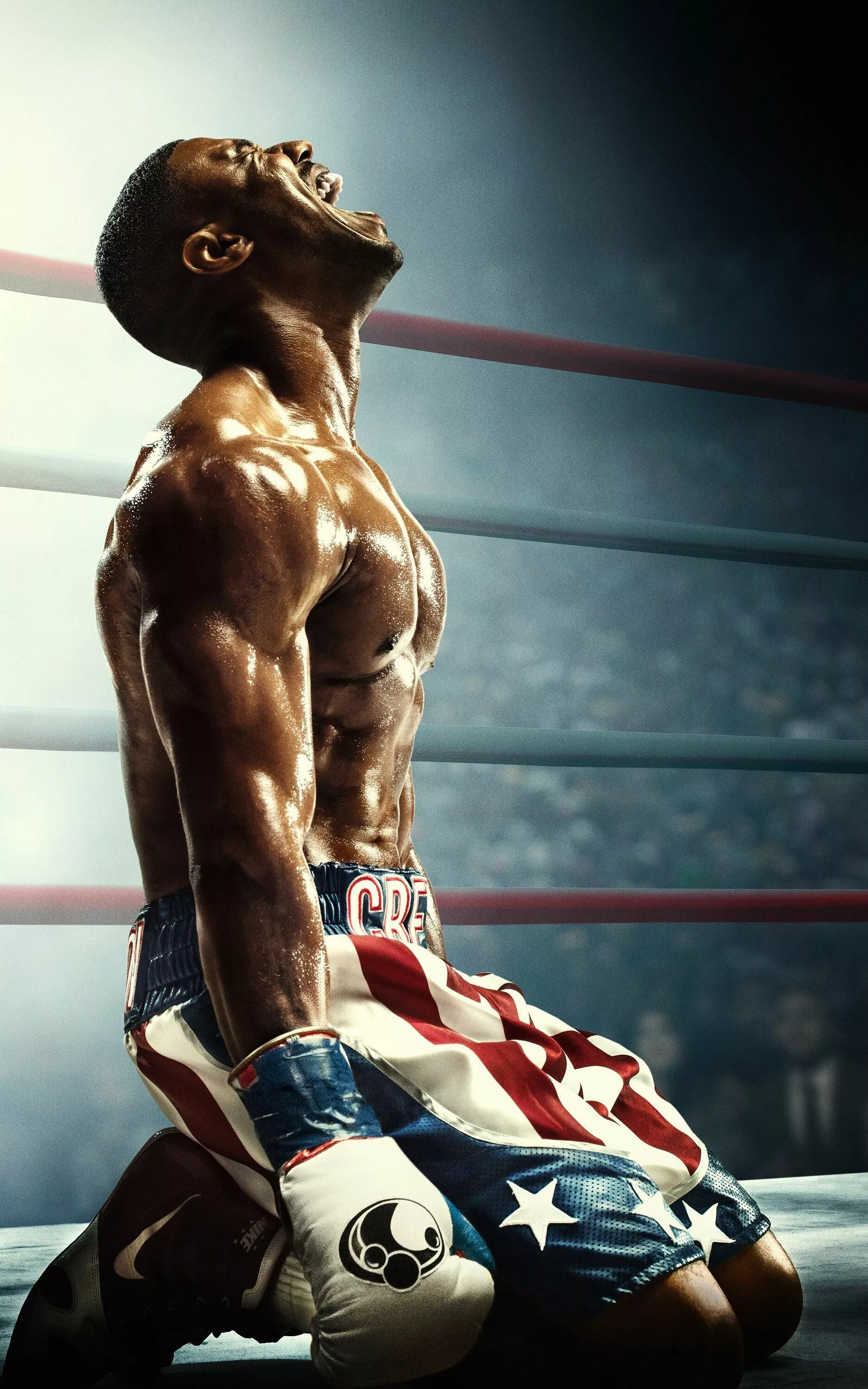 Boxing Wallpaper