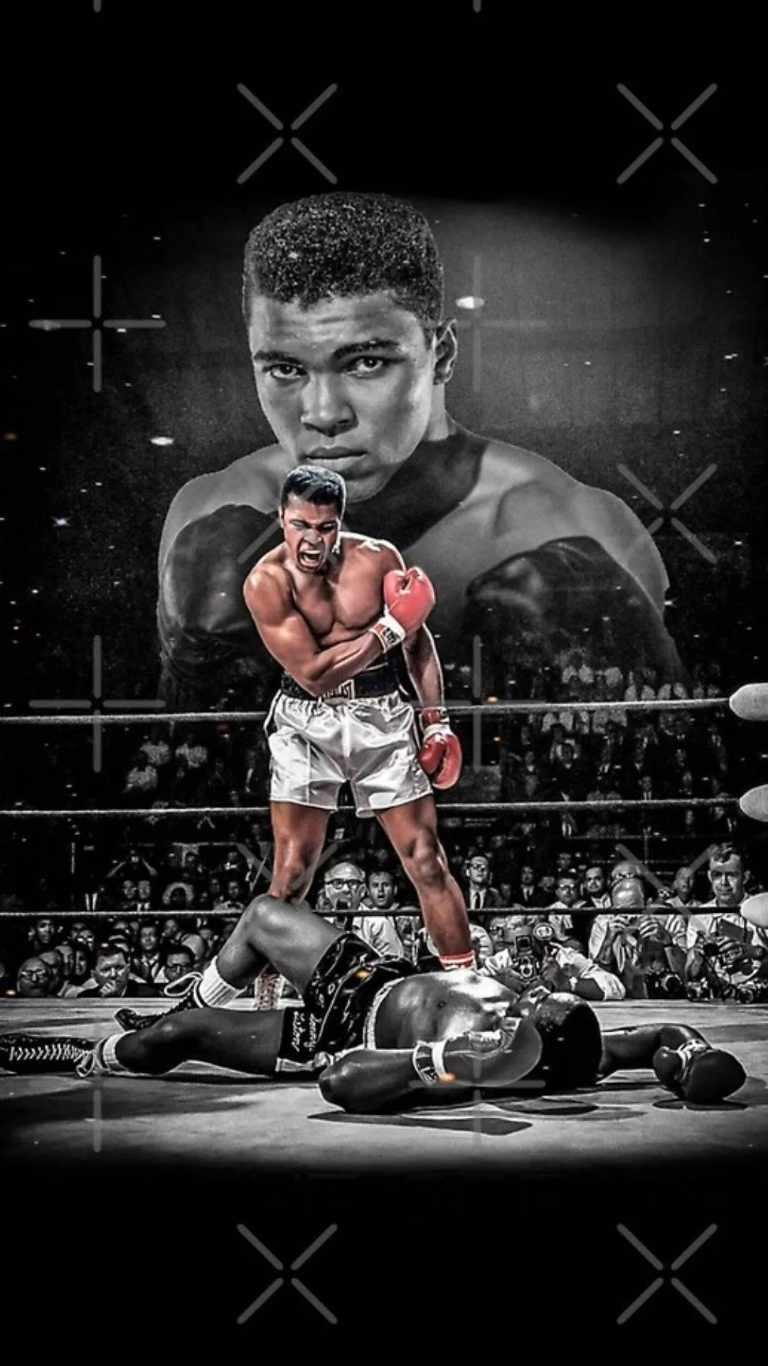 greatest boxer in the ring! Wallpaper
