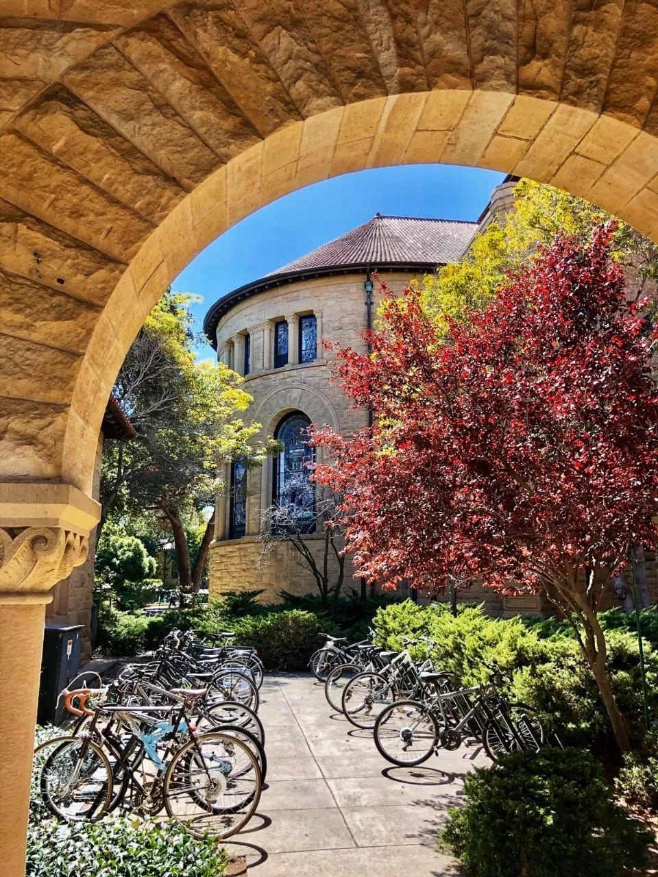 Stanford Wallpaper iPhone