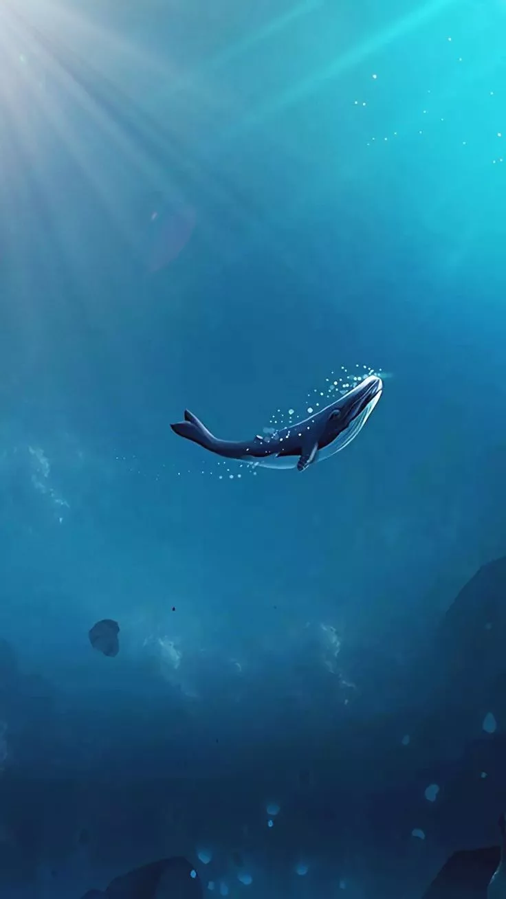 Whale Wallpaper