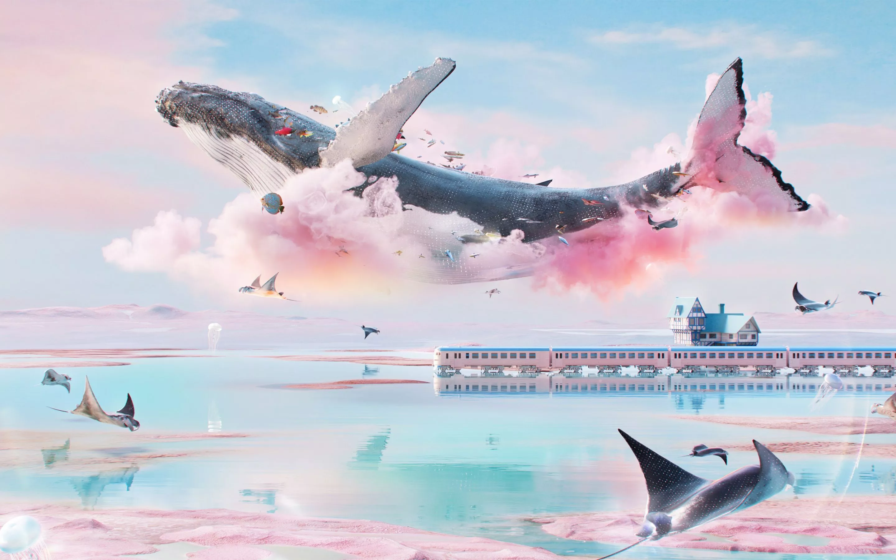 Dreamlike Wallpaper 4K, Whale