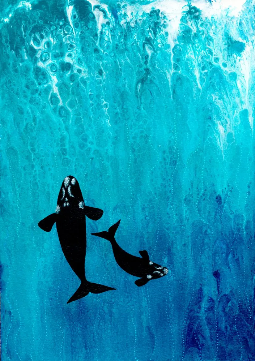 Southern Right Whales Wallpaper Mural