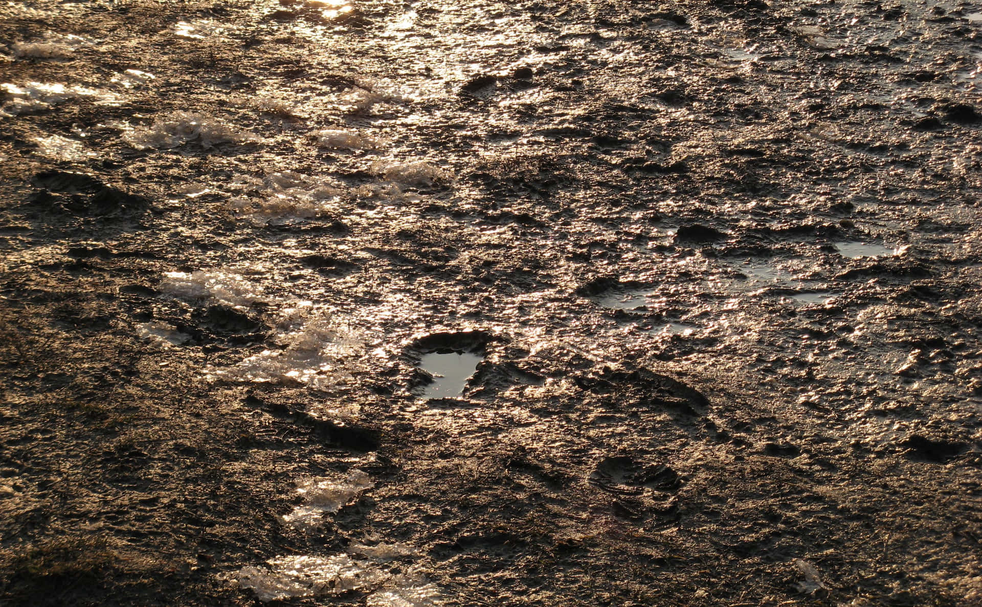 Mud Background
