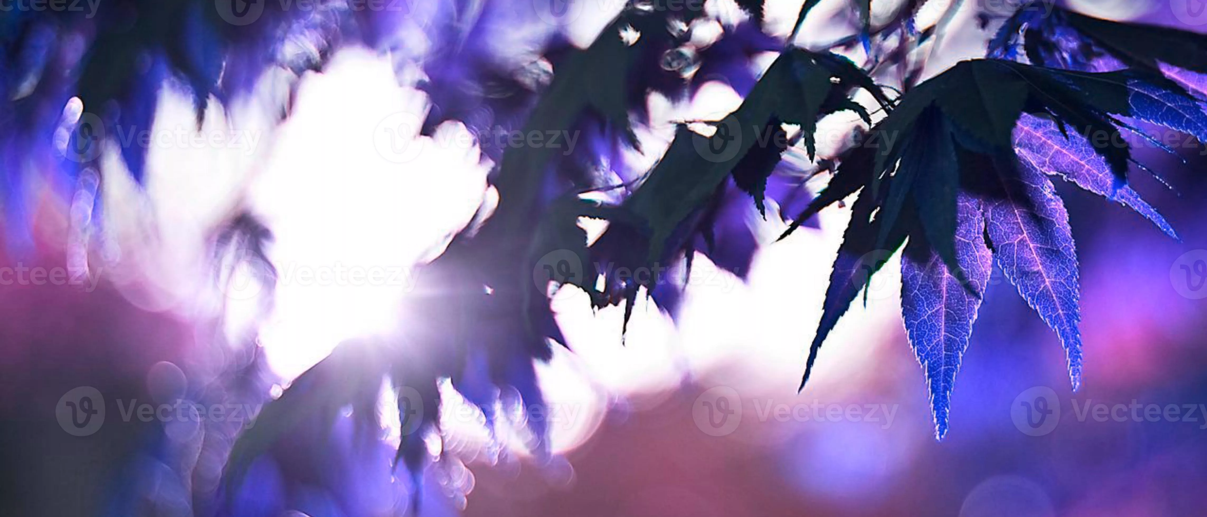 4k HD wallpaper for computer desktop with dark aesthetic and dope trippy wallpaper for cute girls