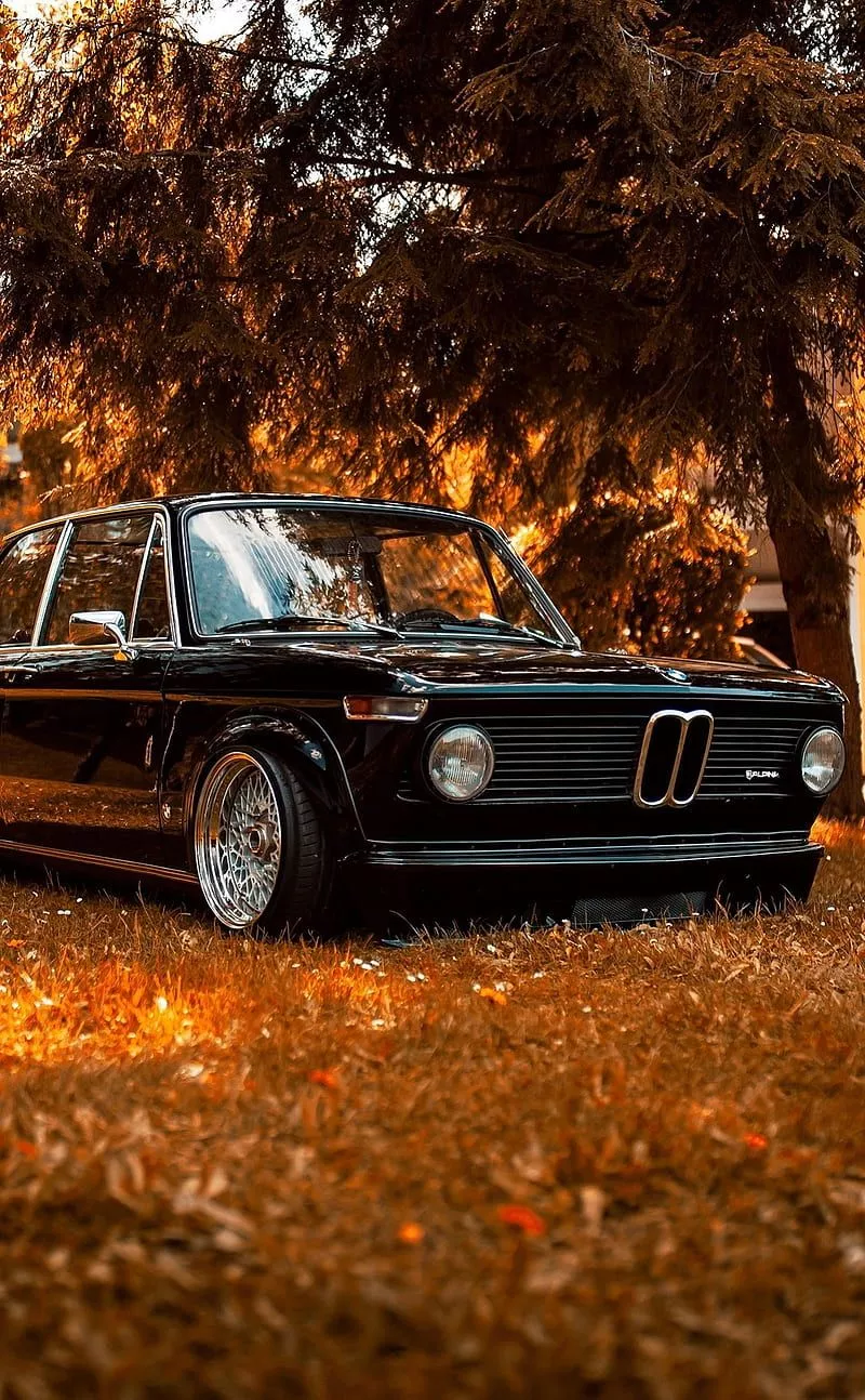 BMW 2002, alpina, classic, huawei, iphone, oneplus, oppo, samsung, xiaomi, HD phone wallpaper