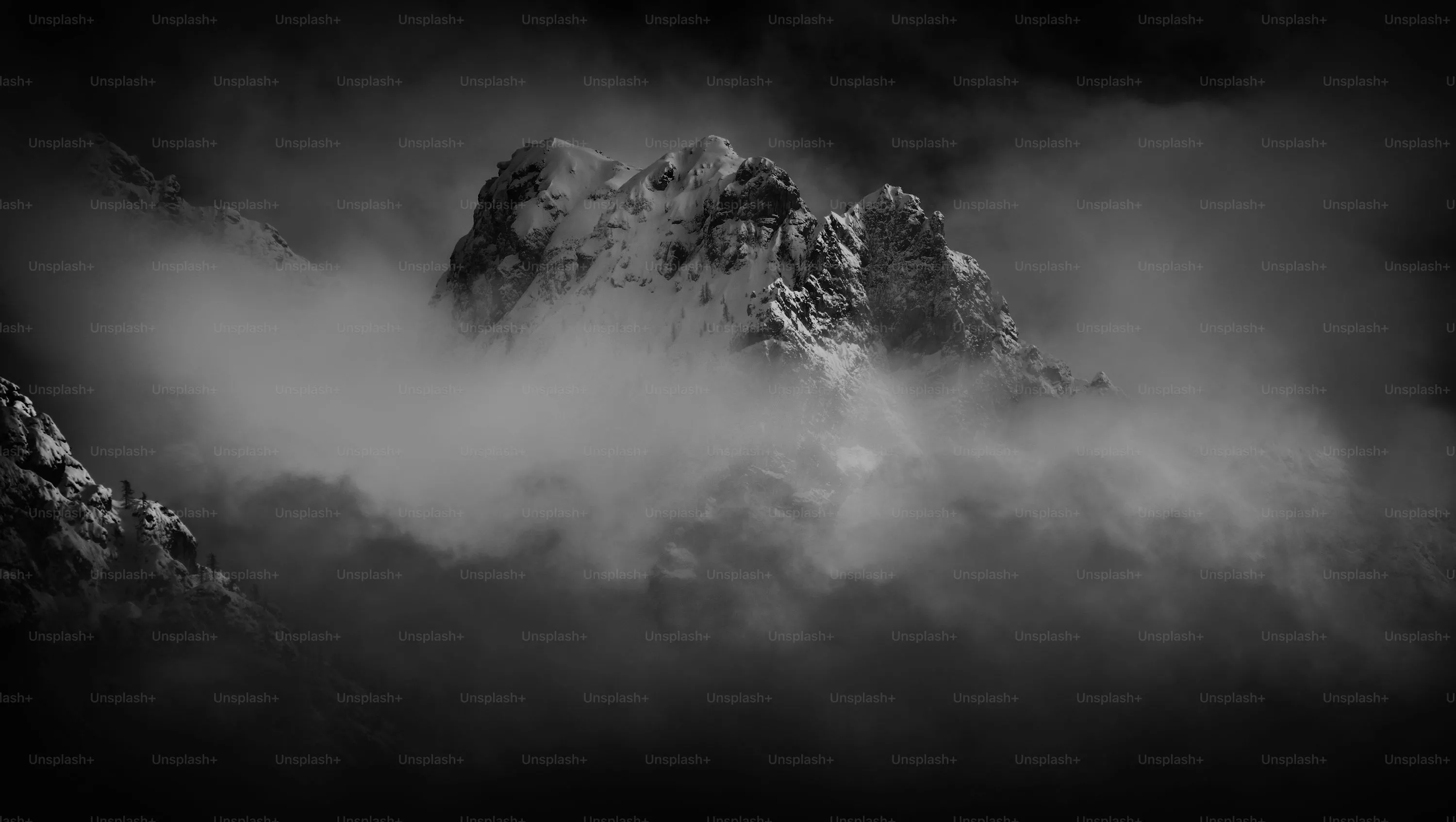 Black And White Nature Picture