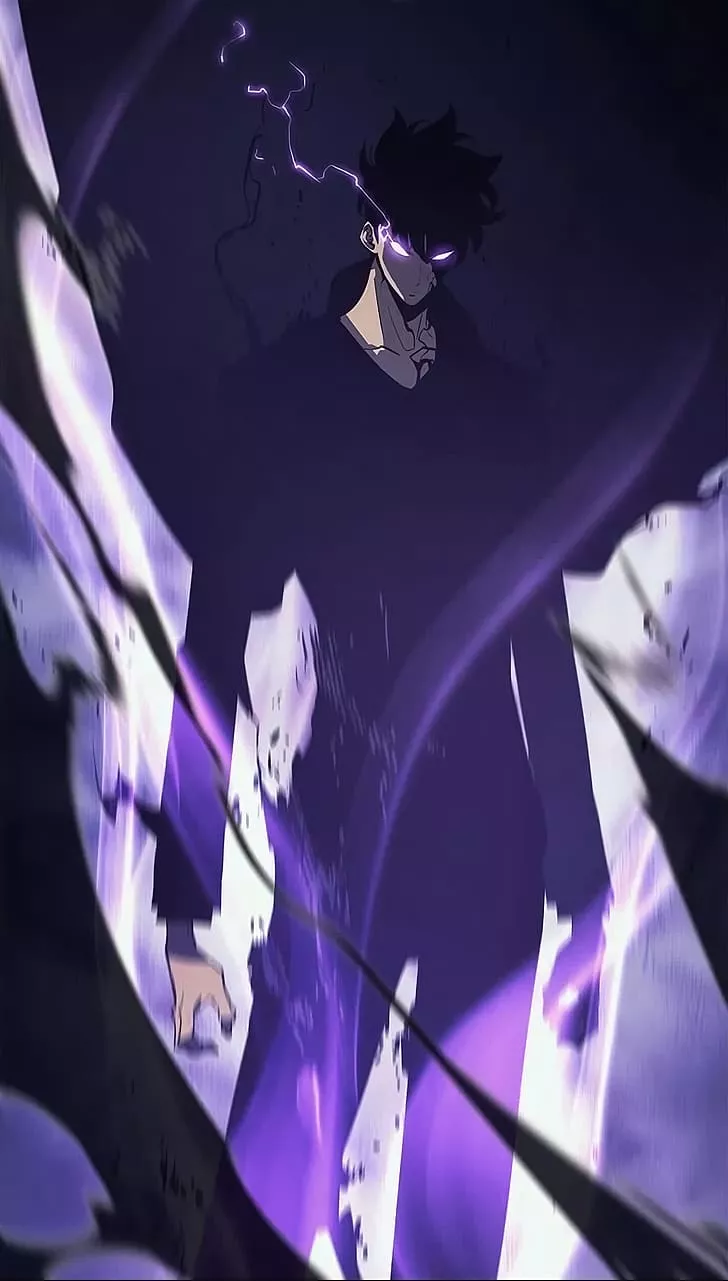 HD wallpaper: Sung Jin Woo, Solo