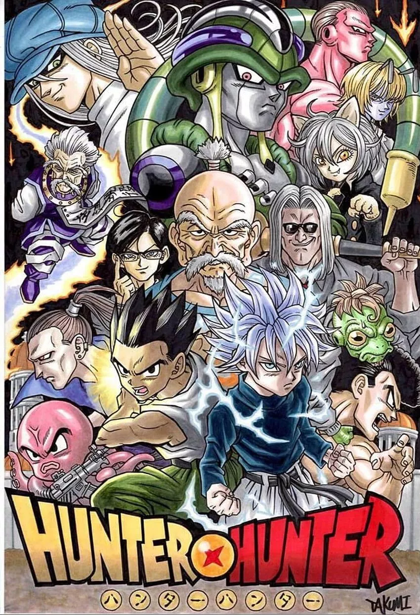 Hunter x Hunter, Hunter X