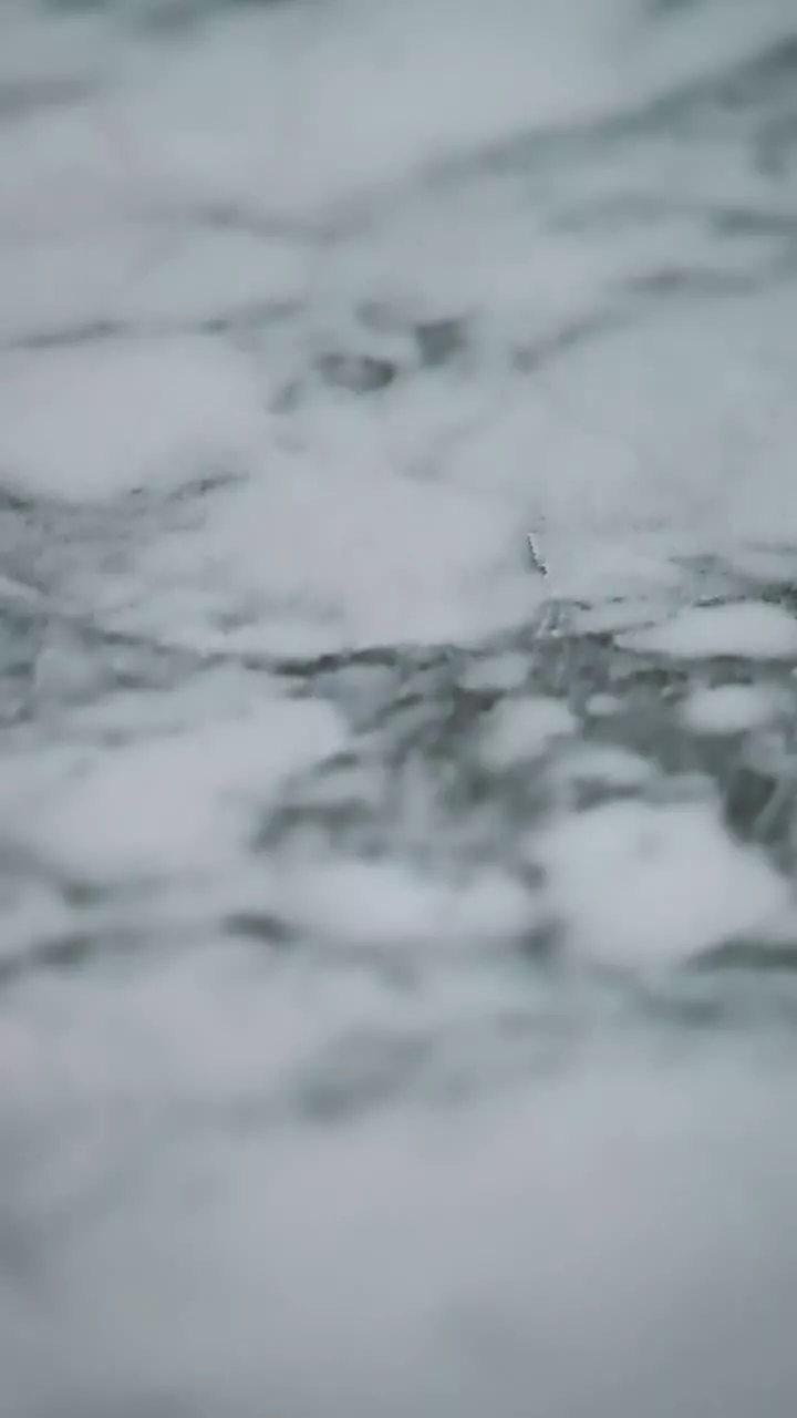 Live Wallpaper tagged with White