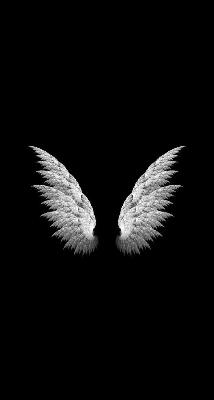 Angels Angel Wings Black And White