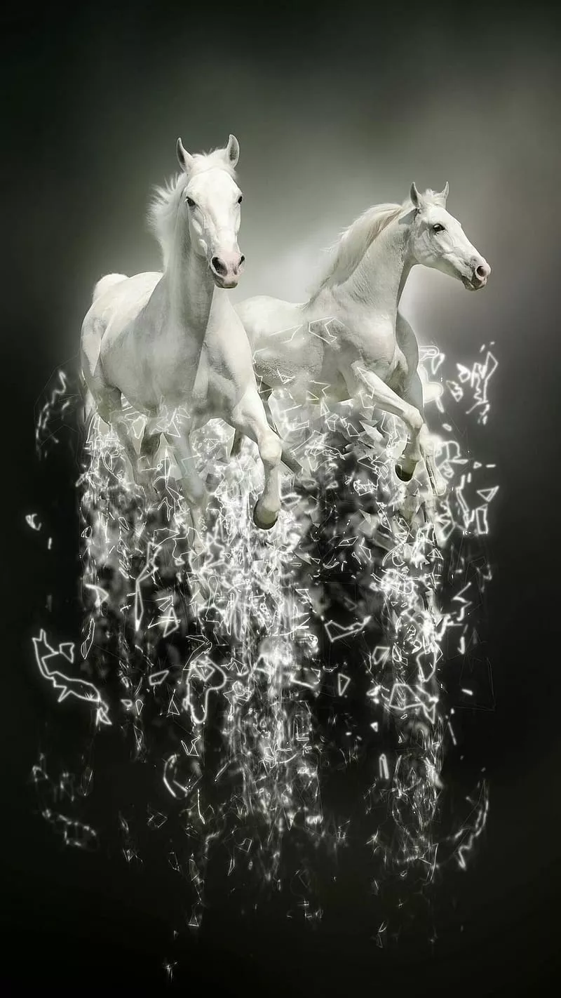 White Horse, running horse, HD phone wallpaper