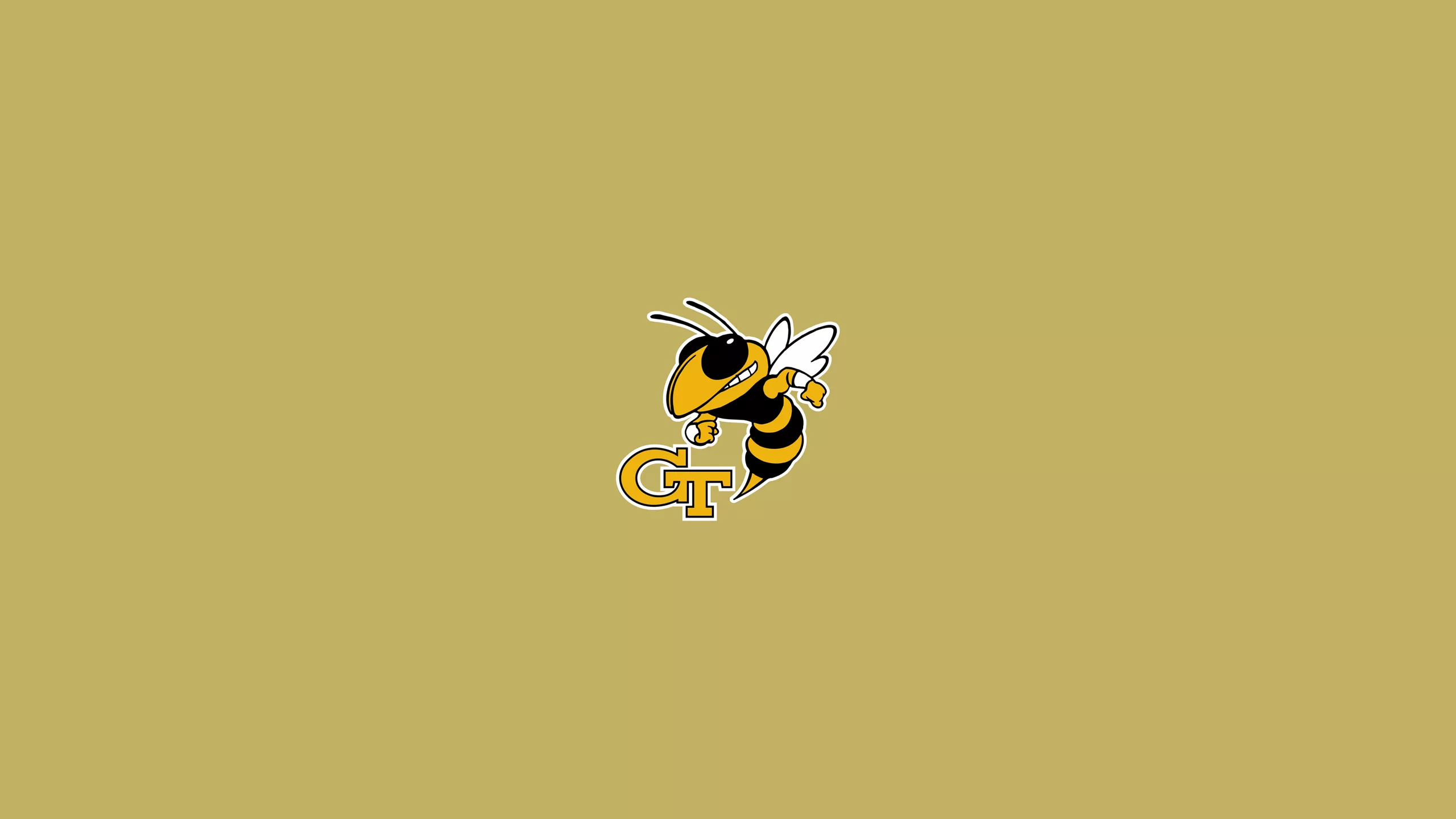 Georgia Tech Yellow Jackets. Stephen