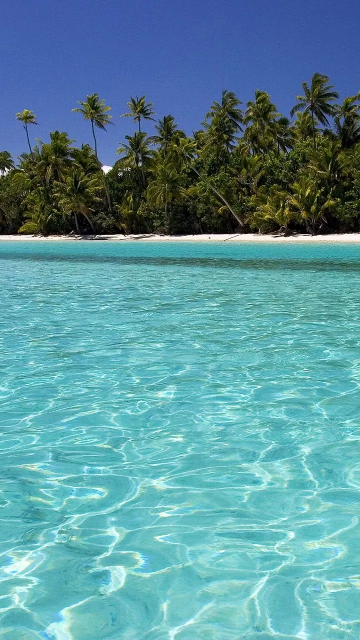 Crystal clear tropic wallpaper