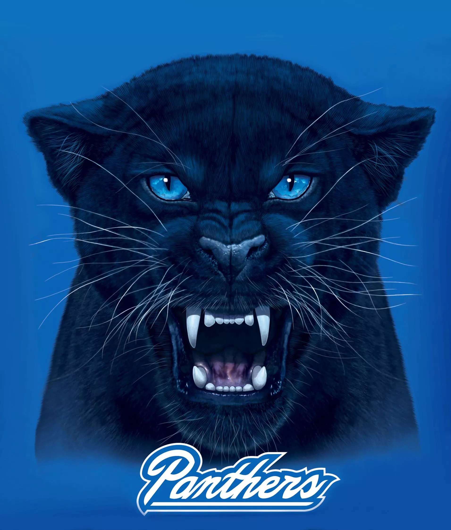 Vincent Hie Productions. Georgia State