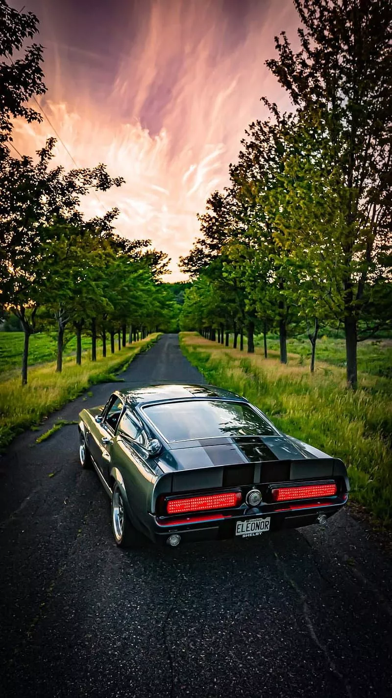 HD 1967 Mustang Shelby Gt500 Wallpaper