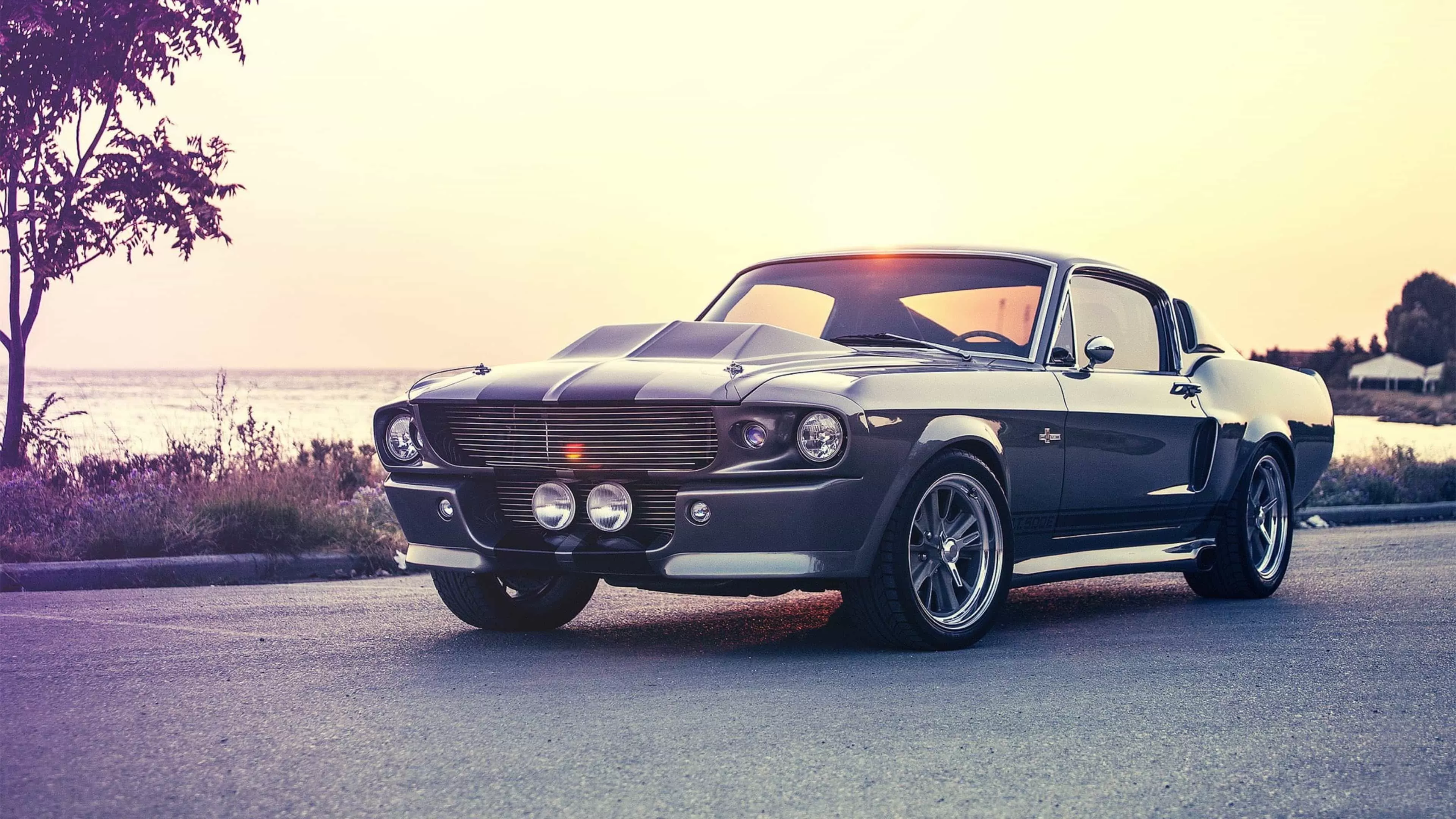 Shelby GT Eleanor Wallpaper
