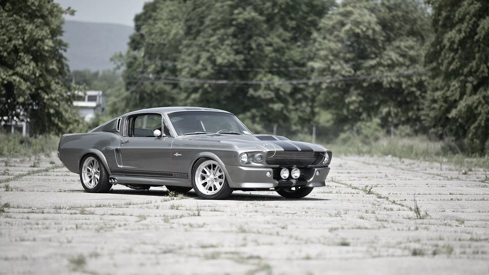 Sleek Shelby GT500 Fastback HD Wallpaper