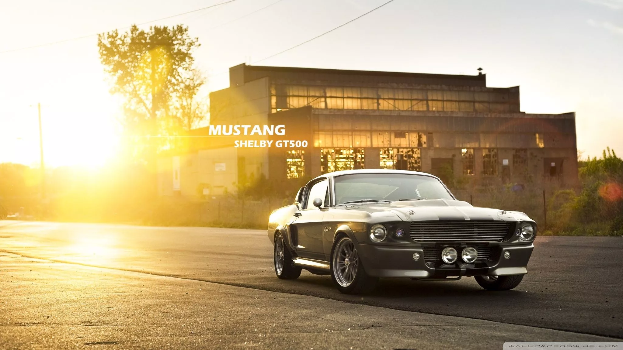 Ford Mustang Ultra HD Wallpaper for 4K
