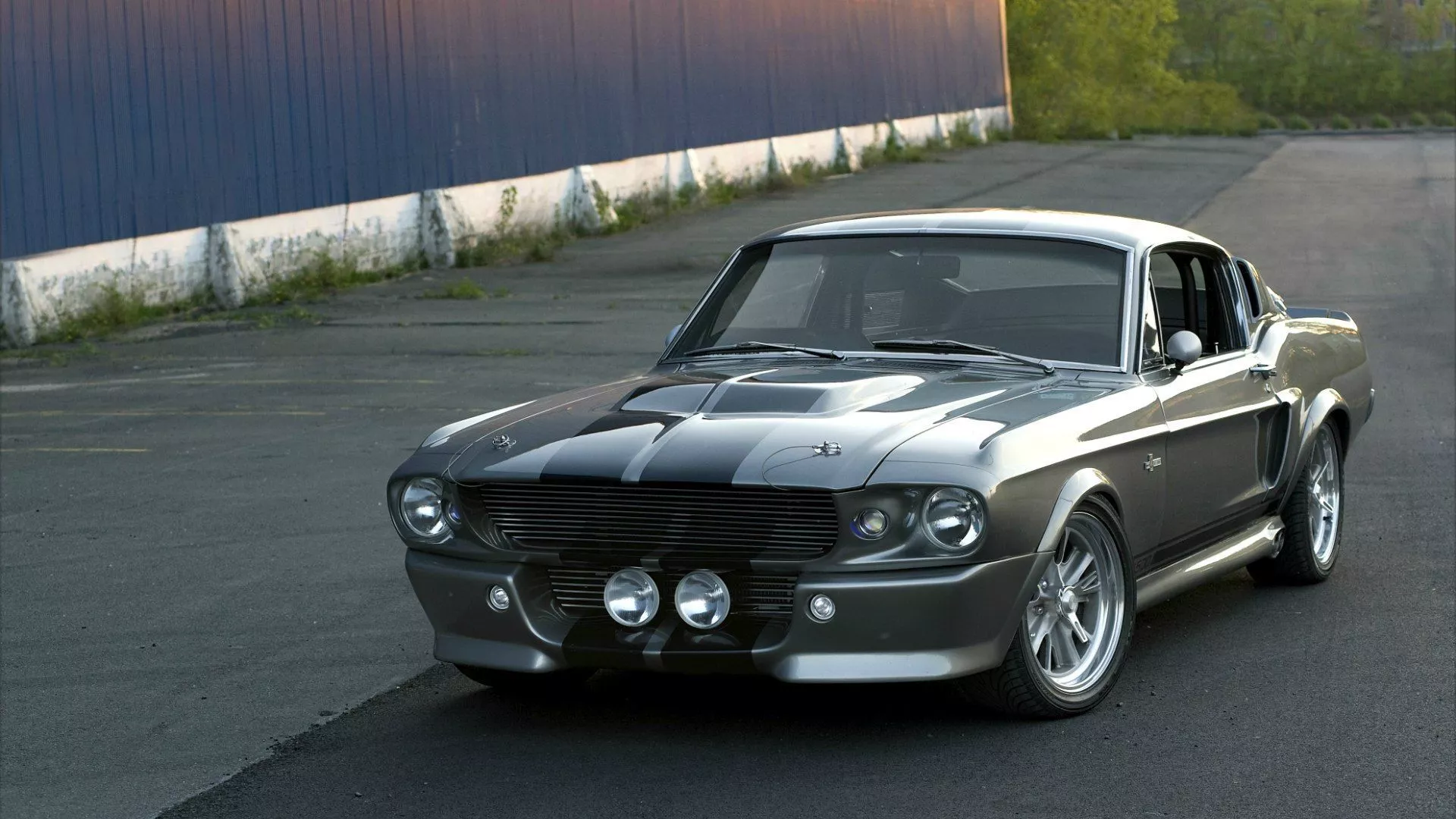 Wallpaper Mustang, Ford, Shelby, GT500