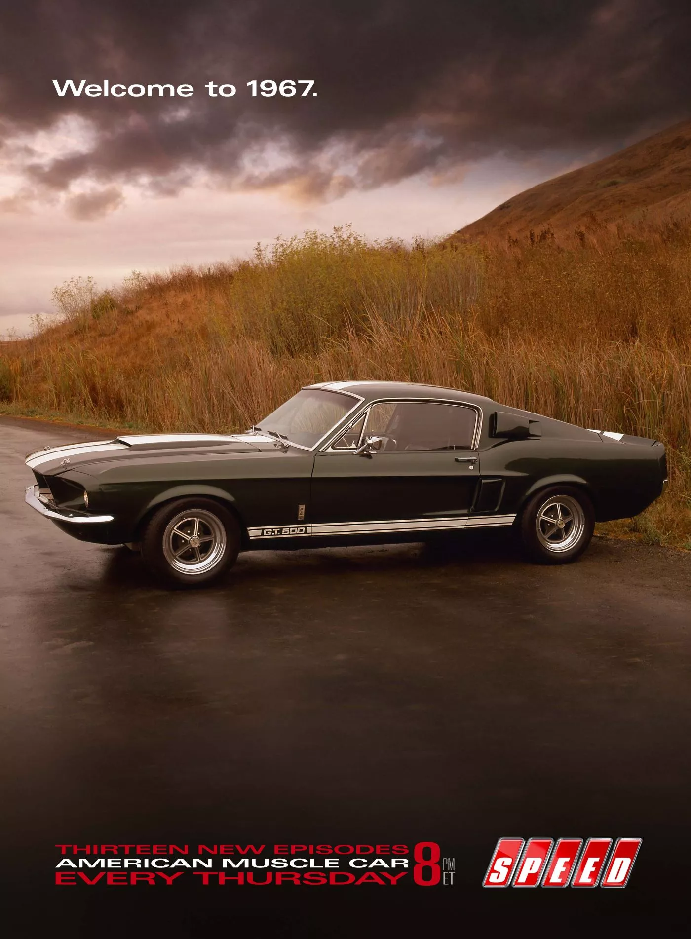 Ford Mustang Shelby GT500 4