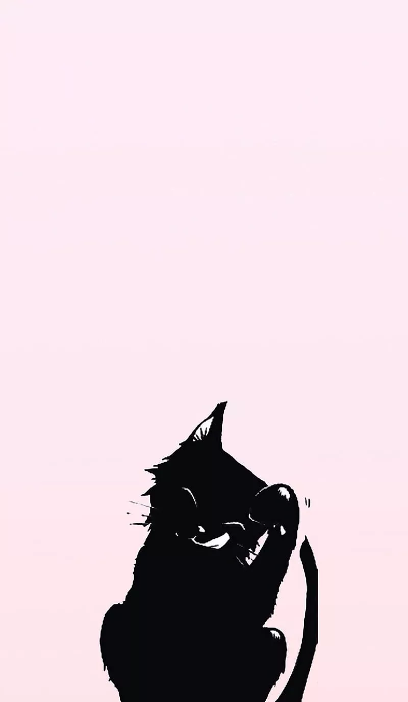 Cute black cat, cat, cute, pink, HD