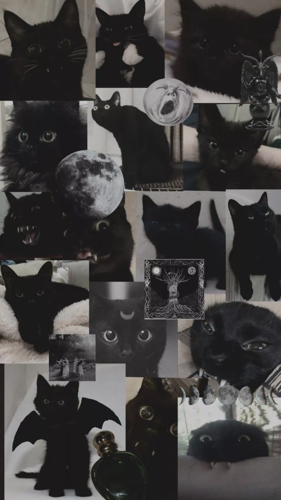 cat wicca black dark aesthetic wallpaper