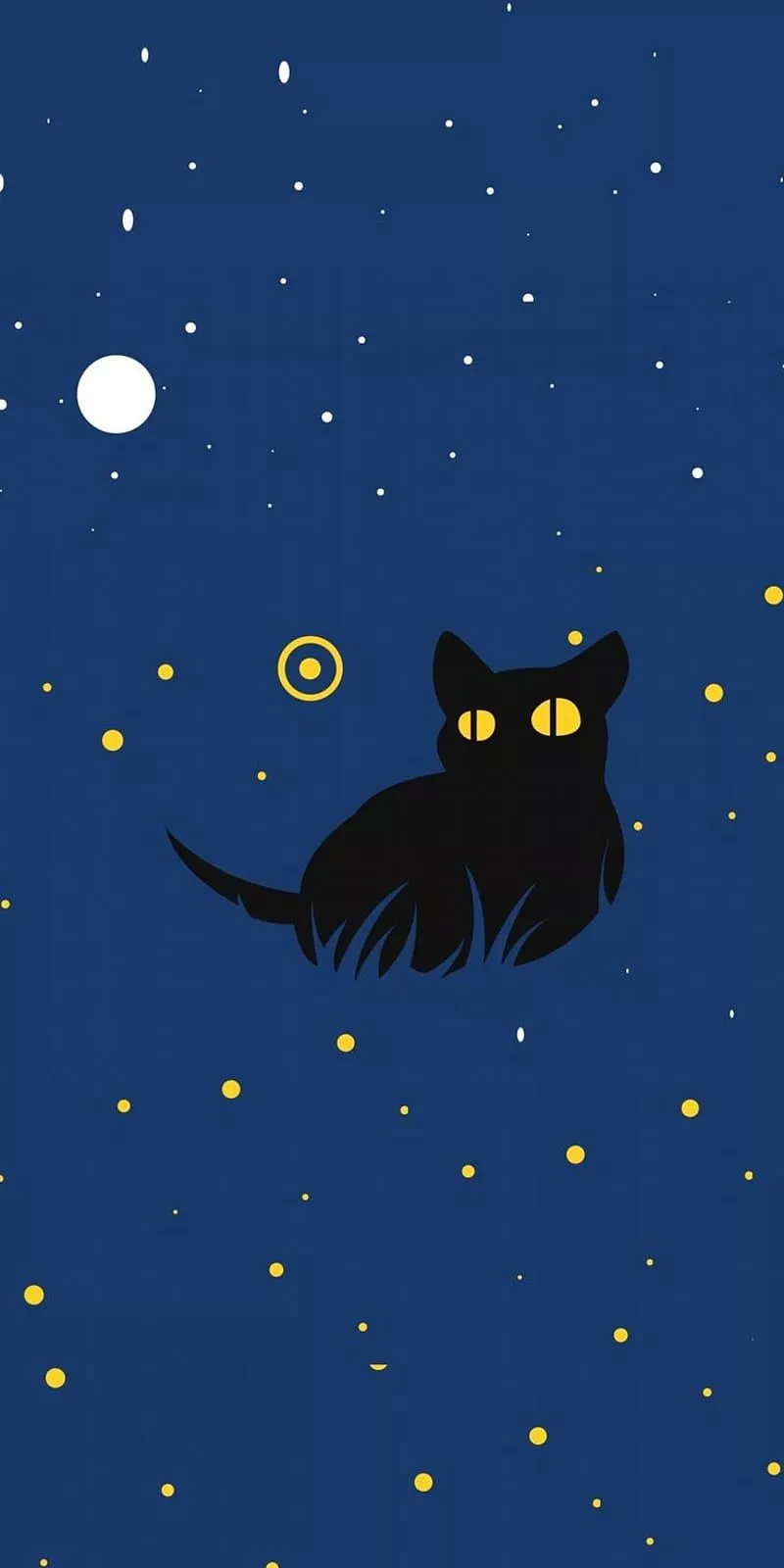 Midnight, cat, black cat, universe