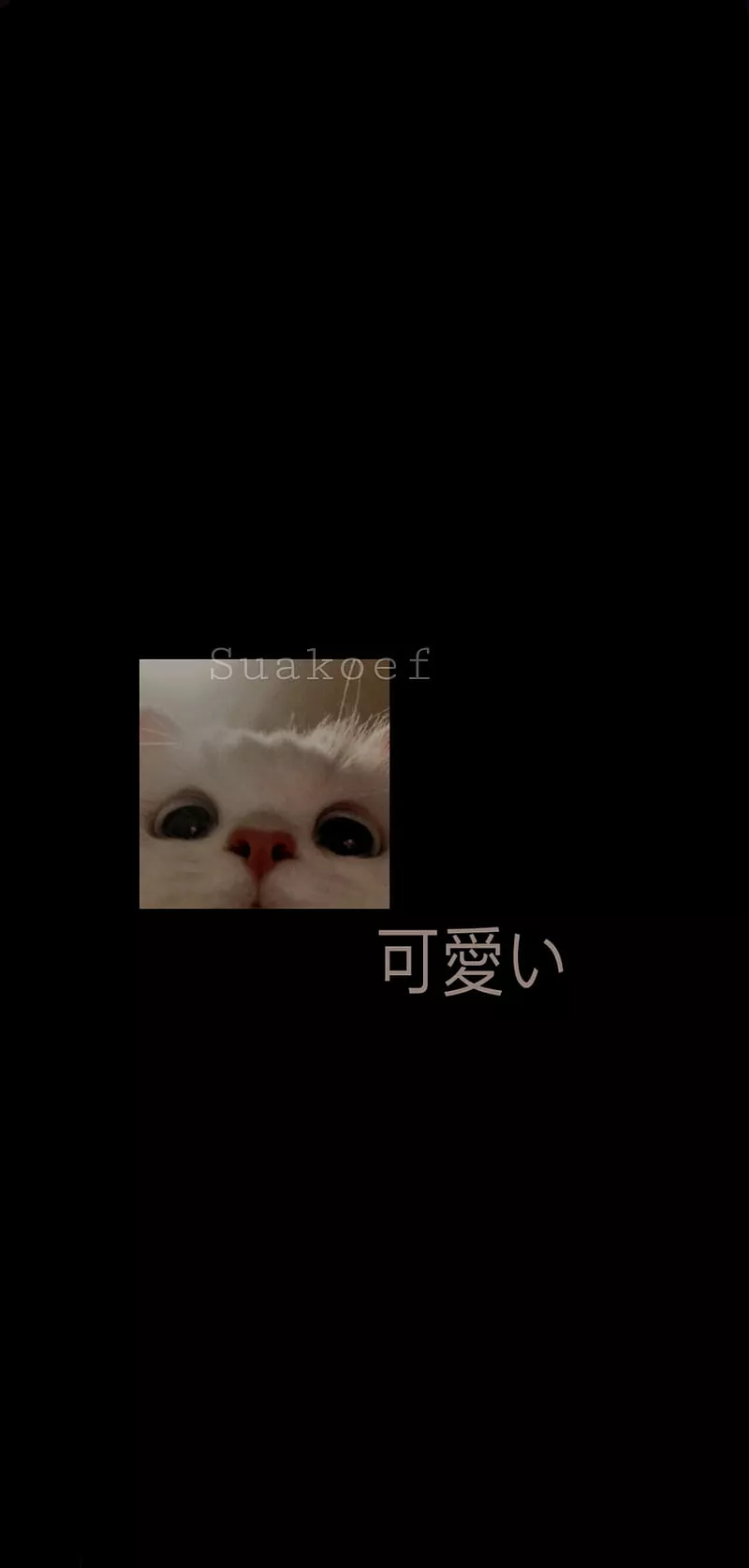 dark mode, HD phone wallpaper