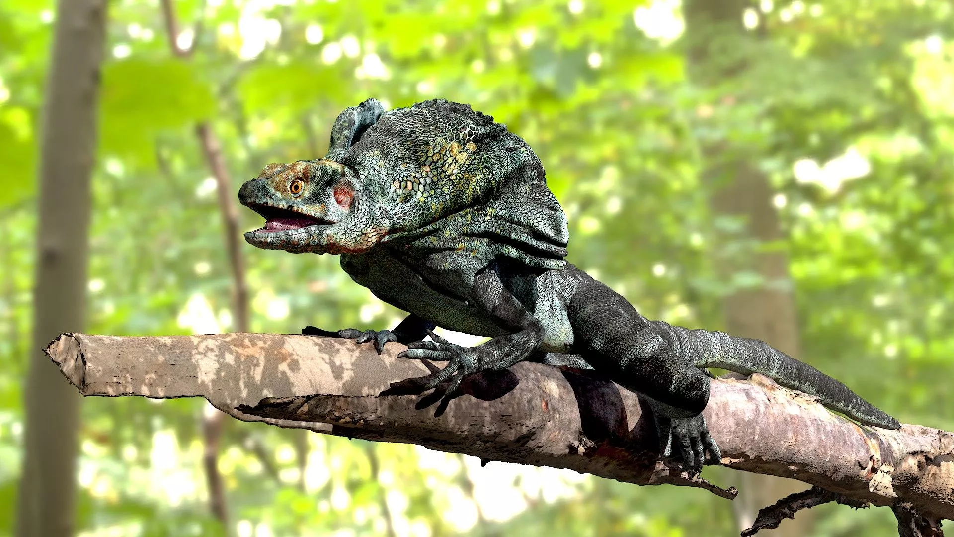 Frilled Lizard Variant Creature