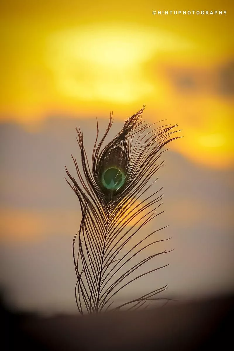 HD krishna nature wallpaper