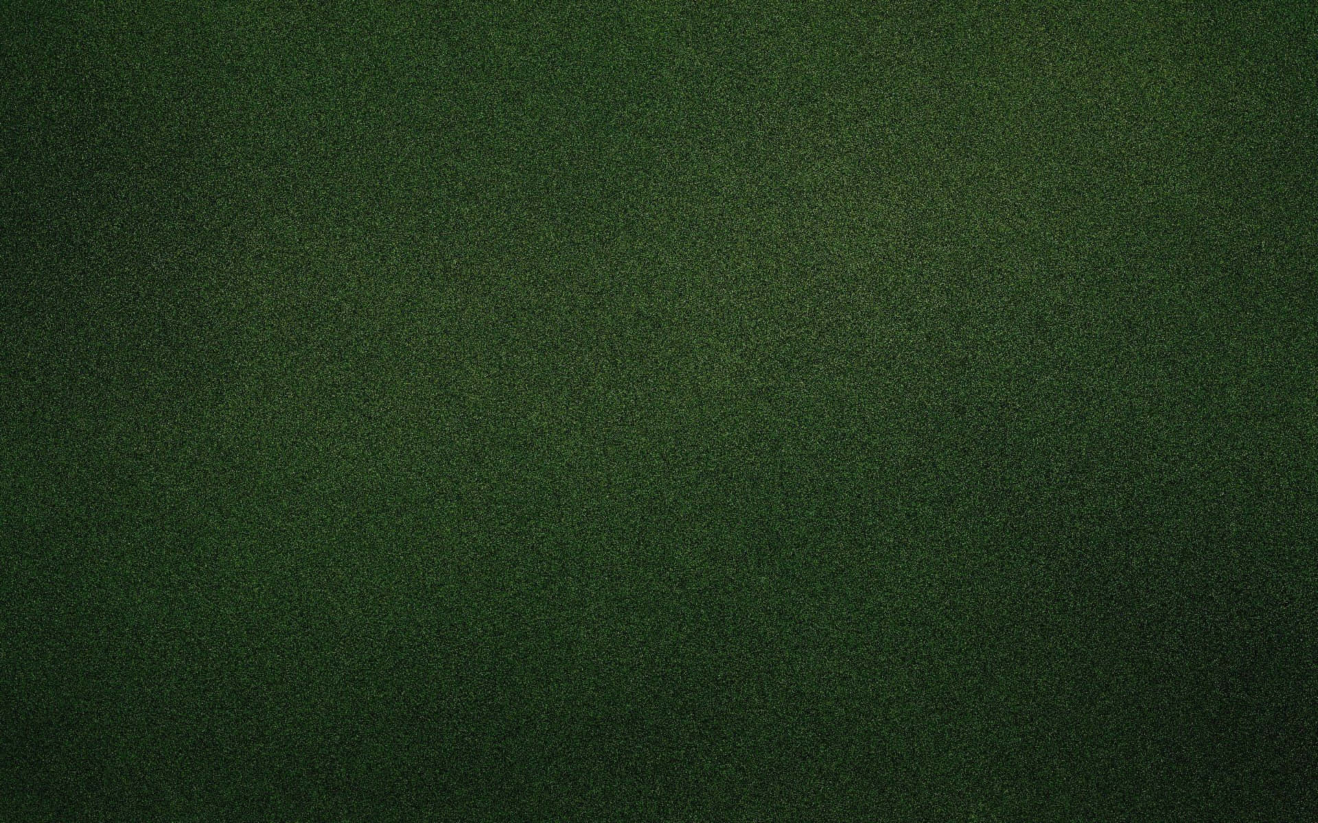 Vibrant Green Texture Wallpaper