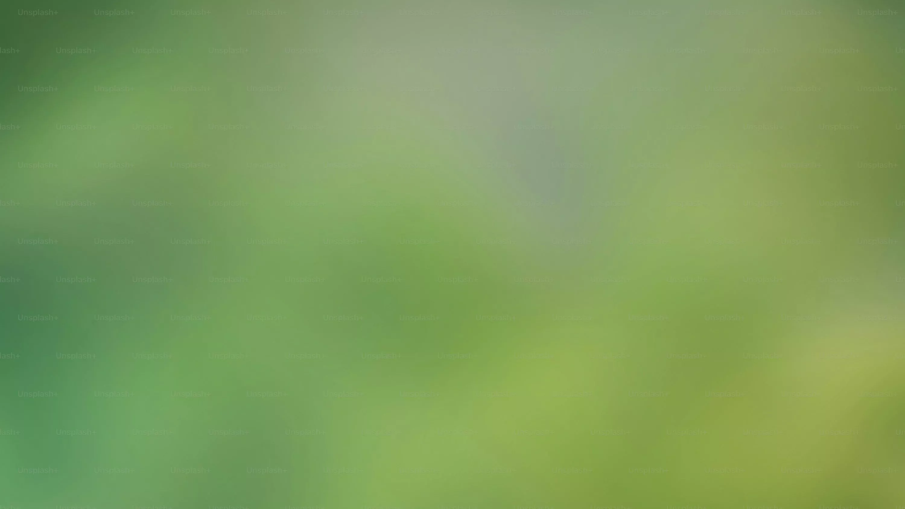 Green Gradient Picture. Download Free