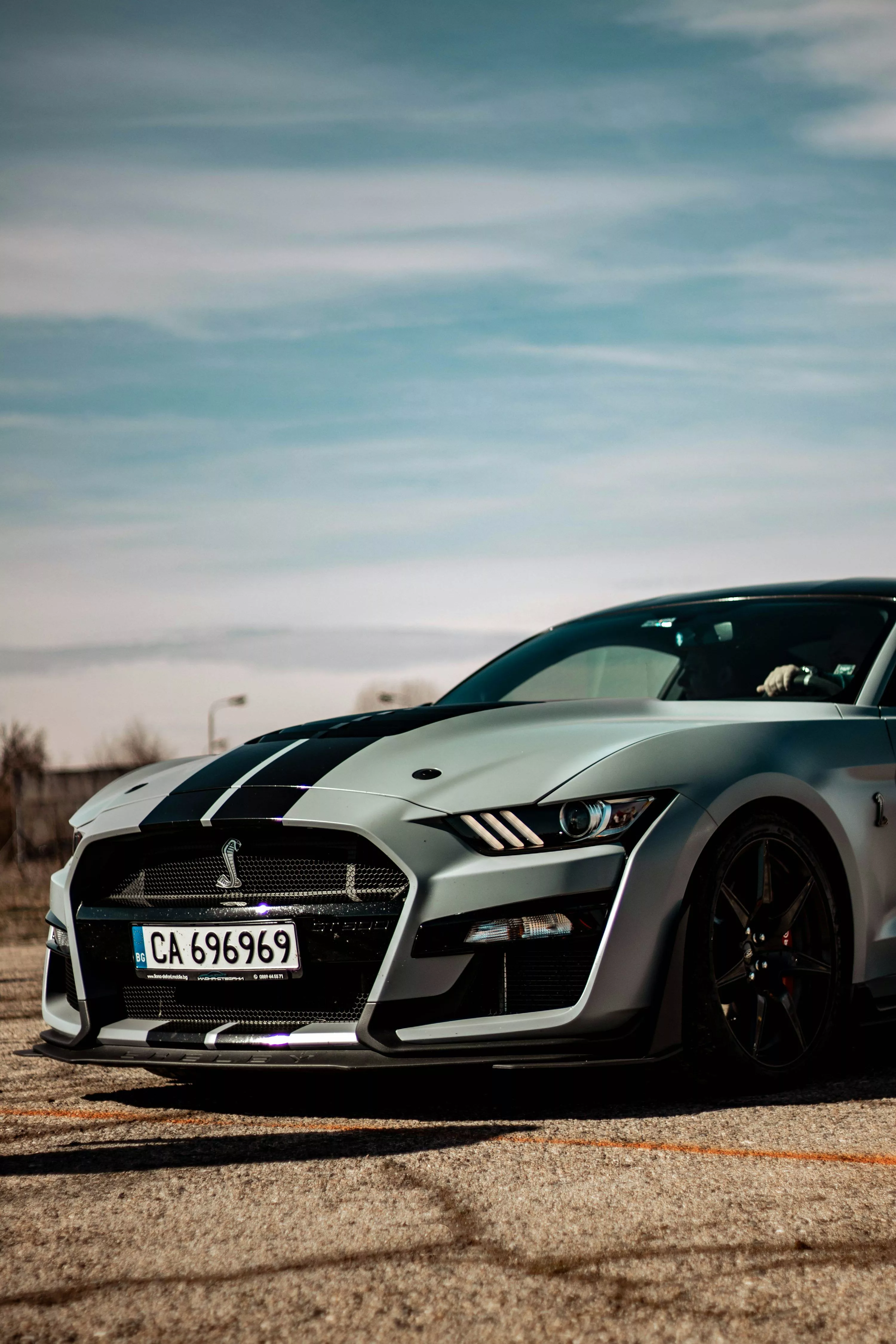 Mustang Shelby Picture. Download Free