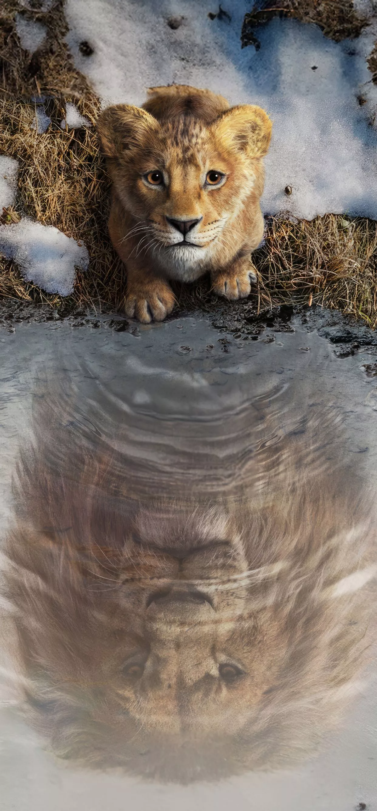 Lion King 2024 Movie iPhone XS MAX