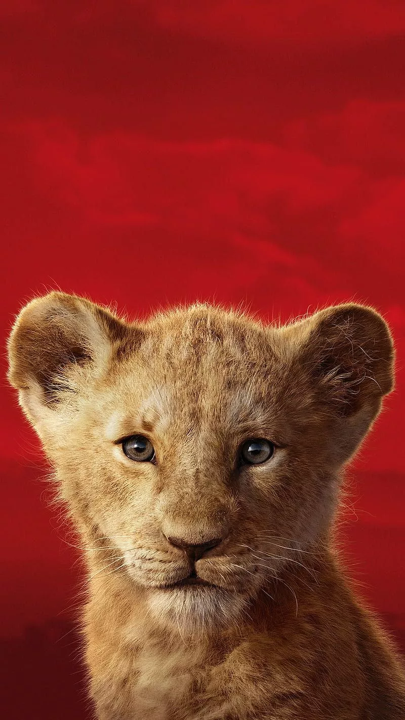 HD mufasa (the lion king) wallpaper